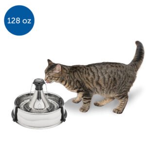 import placeholder for 9878